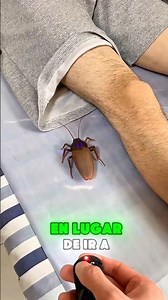 They put a fake cockroach in Max's mouth and his reaction goes crazy 🤯 #shorts #ytshorts