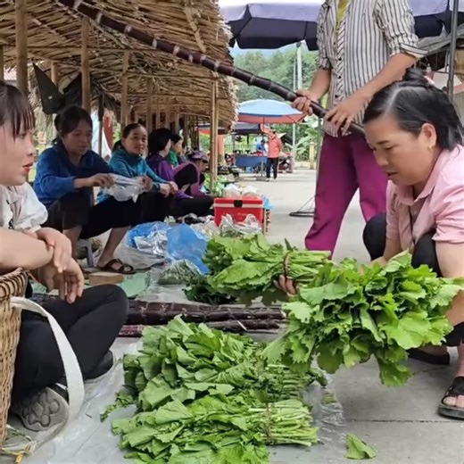 Pick upland vegetables to sell at the market, fertilize and take care of the vegetables 003 | CR-Truck Action-cv