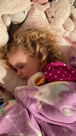 💕Xander Friends - hard at work. #sweetdreams #nightnight #xanderfriends #xanderfriendship | Lavender Life Company