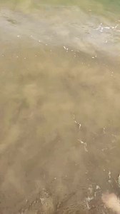 On a beautiful beach | Happy Suitcase