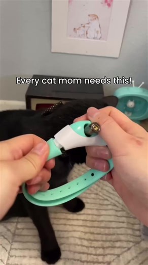 Whiskeria Shop sur TikTok