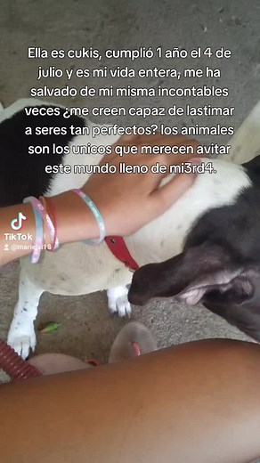 Celebrating My Dog Cuícus: A Year of Joy and Love