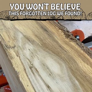 1.7M views · 1K reactions | This Log Was Left To Rot - Sawmill Reveal | Out of the Woods Forestry | Facebook