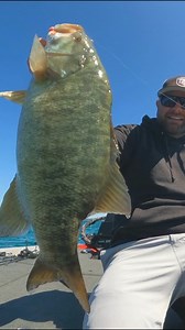 Check out this 6 lb Smallmouth that Tim stuck on a BFS setup! Catching monster bass is always fun, but doing it on a finesse bait caster is a whole new experience! Too much fun!! THE BAIT... •Megabass 3" Spark Shad: https://bit.ly/2XcLZk4 Color: Real •Dirty Jigs Guppy Head: https://bit.ly/2nyUJRS Size: 1/8 oz THE COMBO... Rod– Shimano Expride B 7'2" ML: https://bit.ly/2nTq9FL Reel– Shimano Curado BFS: https://bit.ly/2QGRVF2 Line– Sunline Super FC 6 lb: https://bit.ly/2p7fxju WANT TACTICALBASSIN 