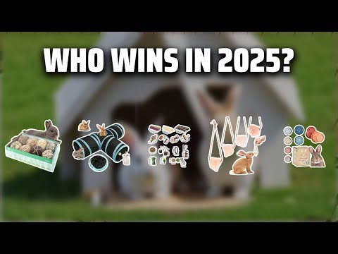The Top 5 Best Rabbit Toys in 2025 - Must Watch Before Buying!