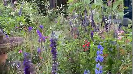 Good morning. Birds calling & Bleu sniffing the air. He smells rain. Showers St Bernard & Plaquemines Parishes. Temps range from 64 Hammond to 74 Lakefront. Dew point 60s. Wind NE 5-16 mph. Highs mid-upper 80s. Sunny Fri. Highs near 90. WDSU News #nola #lawx | Margaret Orr WDSU Chief Meteorologist Emeritus