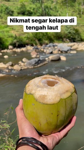 Nukmat segar kelapa di tengah laut #kelapa #short #reels #fb #rdn #viral #fyp | Rd.N Gaming