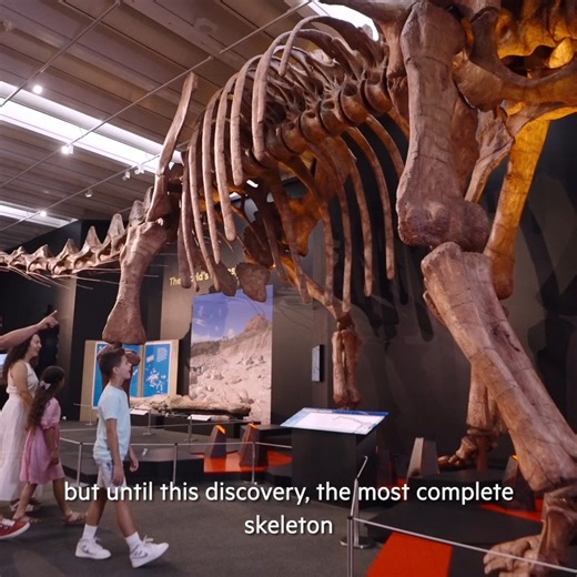19 reactions · 5 comments | FRIDAY FOSSIL FACT: 208 bones is the most complete discovery of a Titanosaur ever made. #PatagoniaQM Get tickets to Dinosaurs of Patagonia, on now for a limited season: https://bit.ly/QMDINOS | Queensland Museum Kurilpa | Facebook