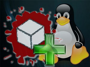 Latest Linux Package (2.18.3) file - AssaultCube Reloaded