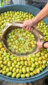 Kẹo táo tàu – vị ngọt thanh tự nhiên, kết tinh từ những quả táo tàu tươi ngon. Qua quá trình sấy, nấu cùng mật hoặc đường mạch nha, táo tàu trở nên dẻo mềm, thơm ngọt, vừa như một món quà vặt dân dã, vừa là vị thuốc bổ dưỡng. Ăn một viên kẹo, cảm nhận được vị ngọt thanh, chút dẻo mềm và hương thơm đặc trưng của táo tàu, rất hợp để nhâm nhi cùng trà nóng 🍵 #keotaotau #truyenthong #handmade #candy #amthuctrunghoa #chucha #douyin #viral #xuhuong #trending #fyp | Chu Cha