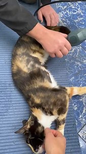 18K views · 530 reactions | PRECIOUS UPDATE - Today precious had...