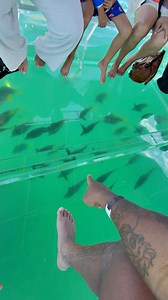 962K views · 15K reactions | Clear boat cruise in Cabo is  | LMG | Facebook