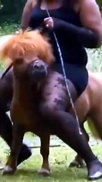 I Tried Riding the Smallest Pony Ever!