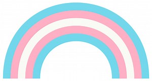 Transgender Pride Flag LGBTQ  symbol Rainbow Vector illustration...
