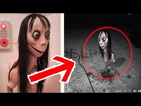 5 MOMOS Reales Captados En Cámara y Vistos