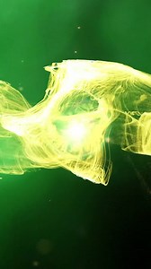 Dr. Ortho presents defender of the match! When the match demanded strength, Deepak delivered! 💪🏴‍☠️ #PirateHamla #PiratePanti #Season11 #PannaPaltengePirates #ProKabaddi | Patna Pirates