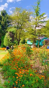 Jane kyon log #Pahalgam #explore | Beauty of Pogal Paristan