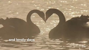 65K views · 2.5K reactions | Soon as I Get Home | Faith Evans | Gio. | Facebook