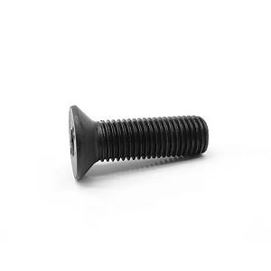 [Hot Item] Csk Head Bolt Countersunk Hex Socket Screw M12 M16 M20