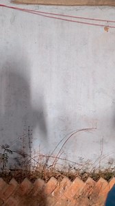 577K views · 10K reactions | Hamara Dance  #reels #reelsfb #virals #viralreels #love #couple #cute #kiss #romance #copal | cute shivani | Facebook