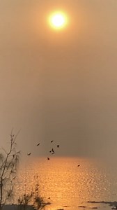 #reelsinstagram #reelitfeelit | Madhuri Itagi