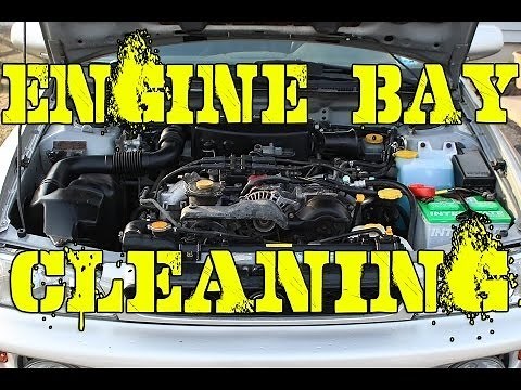 How to Clean Your Engine Bay | Quick Easy Effective