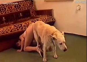 Dirty older skank getting stuffed with animal cock in this bestiality video