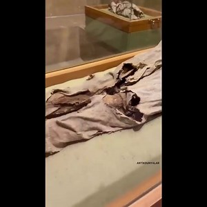 1.1K views · 21 reactions | The Blonde Nun, Museum of the Night. A female mummy and four child mummies are on display in one sec. | World Ancient History | Facebook