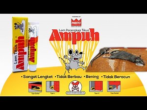 Cara Penggunaan "LEM TIKUS AMPUH" Kemasan Tube Dengan Efektif.