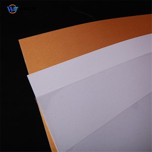 [Hot Item] Black A4 Size Offset Printing PVC Polyester Pet Plastic Rigid Sheet for Making ID Cards