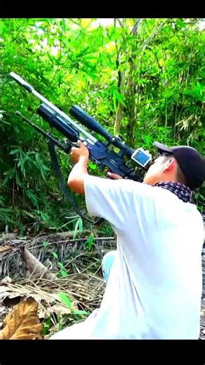 Menembak burung roouack di hutan