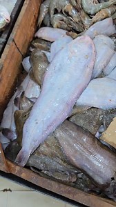 19K views · 206 reactions | عندي凜 بطاطس جبتها النهاردة عشان اعمل...