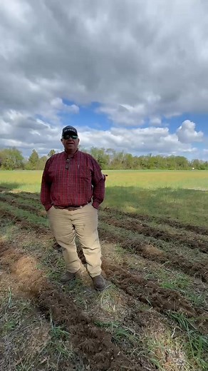 We variable rate strip-till our fertilizer 8 inches deep from nutrient recommendations done by AgriFocus LLC . This has given us great nutrient efficiency the past several years. #4RS #conservation #SaveTheBay #ChesapeakeBay #striptill | Thomas Neck Ag