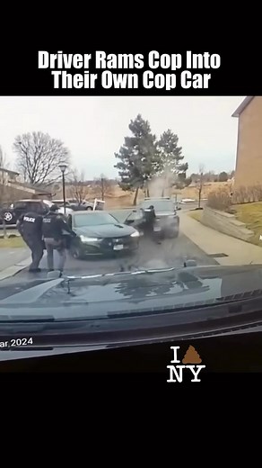 2.2K views · 13 reactions | #NYShitty; Looks like she’s going to need some time off work @topdoglaw  Via @ontodaysnewyorkshitty for more! | The Myxs | Facebook