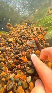 10K views · 38 reactions | search for treasure $  | BIR BARTA | Facebook