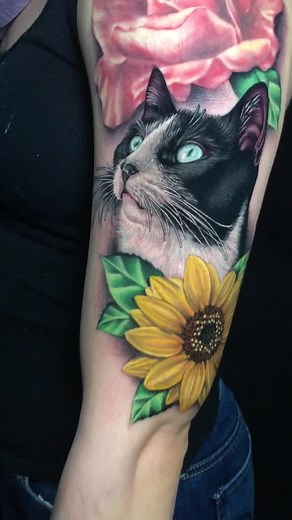 A compilation of my favorite WAP tattoos 😸 #tattoo #cat #cattattoo #cattoo #wap #tiktoktattoo #tattoolover #tattoosartist #fyp