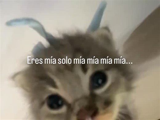 Gil Azamar on Instagram: "Eres mía mía mía mía.."
