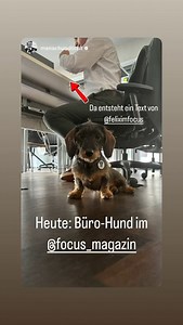 FOCUS Magazin on Reels | Facebook