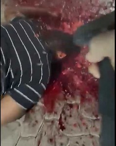 Brutal! Brain Splattering Overkill