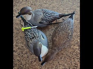 SX Decoys Pintail Full Body Review