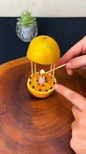 46K views · 334 reactions | Casa limpa, sem mosquitos e com um aroma incrível! | Super Fácil | Facebook