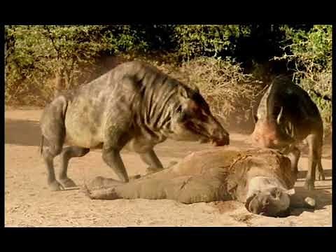 Walking with Beasts Se1 - Ep03 Land of Giants - Part 07