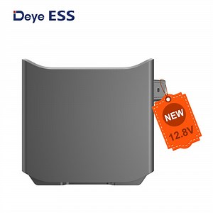 [Hot Item] Deye Ess Wd-G12100 Own Brand 104ah Lithium Batteries Home Solar Battery Storage