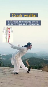 7Keep your toes hooked and your back straight #health #chineseculture #outdoor #qigong #exercise #hippain #teaching #trendingreels #taichi #practice #healthy #Gym #exercise | TaiChi Show