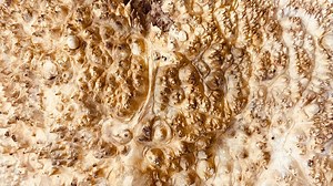 2.5K views · 55 reactions | The most beautiful wood defect #wood #woodwork #TREES #woodworkingtools | Belko Wood | Facebook