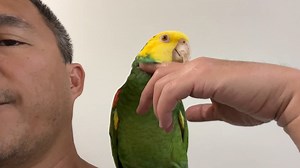 1K views · 61 reactions | Penni sometimes needs some encouragement to...