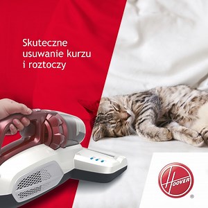 Jeśli cierpisz na problemy z oddychaniem lub alergie - to innowacyjny Ultra Vortex jest dla Ciebie! 🫁🎯👃 Ten odkurzacz ręczny skutecznie usuwa alergeny, kurz i roztocza ze łóżek i z miękkich mebli takich jak kanapy, fotele i poduszki. Dowiedz się więcej 👉 bit.ly/3rkTEBT | Hoover