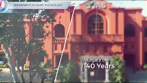 2.8K views · 95 reactions | Admission in BS Dairy Technology Department of Dairy Technology UVAS-2023 | UVAS | Facebook