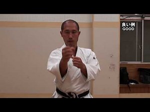 正中面突き（PUNCH THROUGH MEDIAN PLANE）【二聖二天流柔術憲法 NISHO-NITEN RYU JUJUTSU KEMPO】