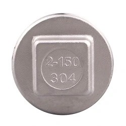 [Hot Item] Stainless Steel Forged Threaded Fittings Square Head Plug